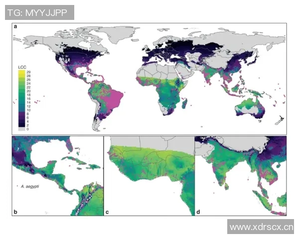 全球气候变化加剧各地极端天气频发 科学家警告未来五年或将更加严重