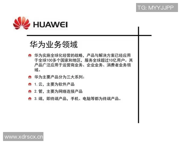 深入分析杭州足球队的运营策略与市场推广模式