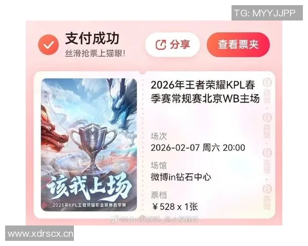 王者荣耀耐力排名新突破V5战队创下历史新高引发热议