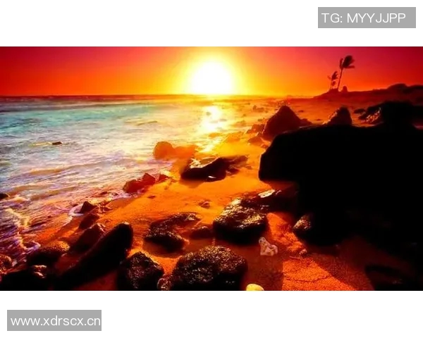 刘强独家分享排球心得与技巧助你提升球技的全面指南